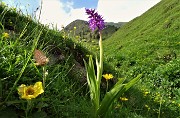 Anello Laghi di Ponteranica-Monte Avaro dai Piani il 3 giugno 2020  - FOTOGALLERY